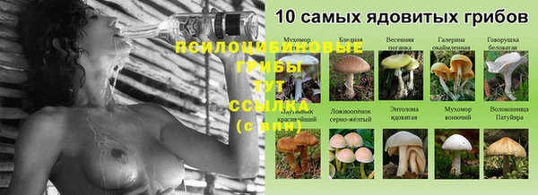 герыч Алексеевка
